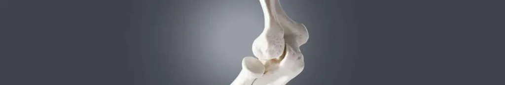 bone cancer treatment, bone cancer treatment in india, bone cancer surgery in india, bone cancer treatment cost in india