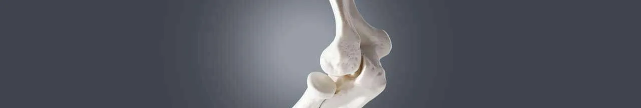 bone cancer treatment, bone cancer treatment in india, bone cancer surgery in india, bone cancer treatment cost in india