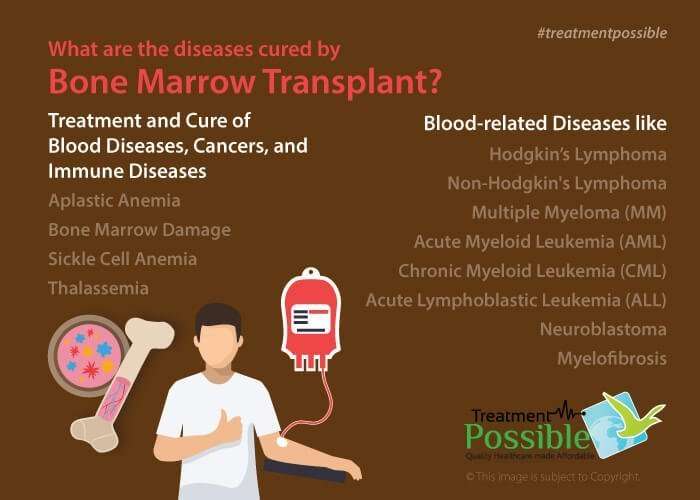 An infographic showing the diseases cured by Bone Marrow Transplant
