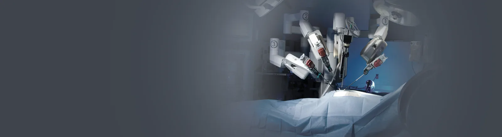 Robotic Prostatectomy